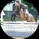 Adam Gray Avatar